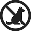 pets not allowed